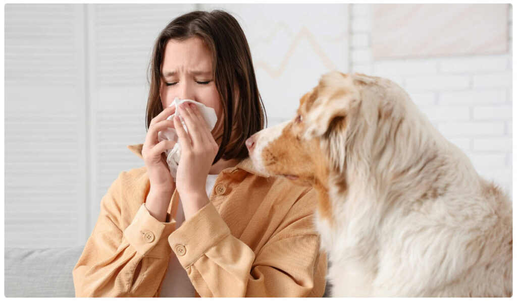 Allergy Relief Treatment and Care in Huntsville